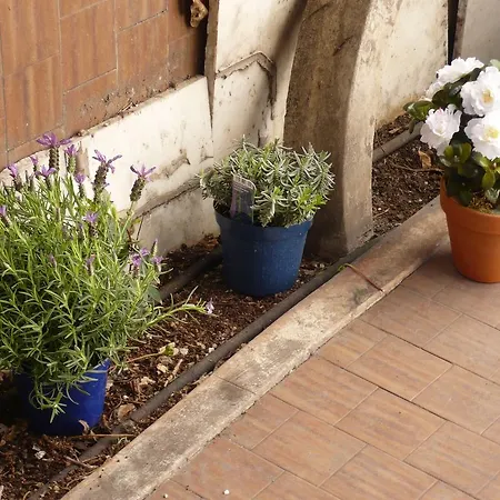 Joe's Unforgettable Vatican Nest Rome